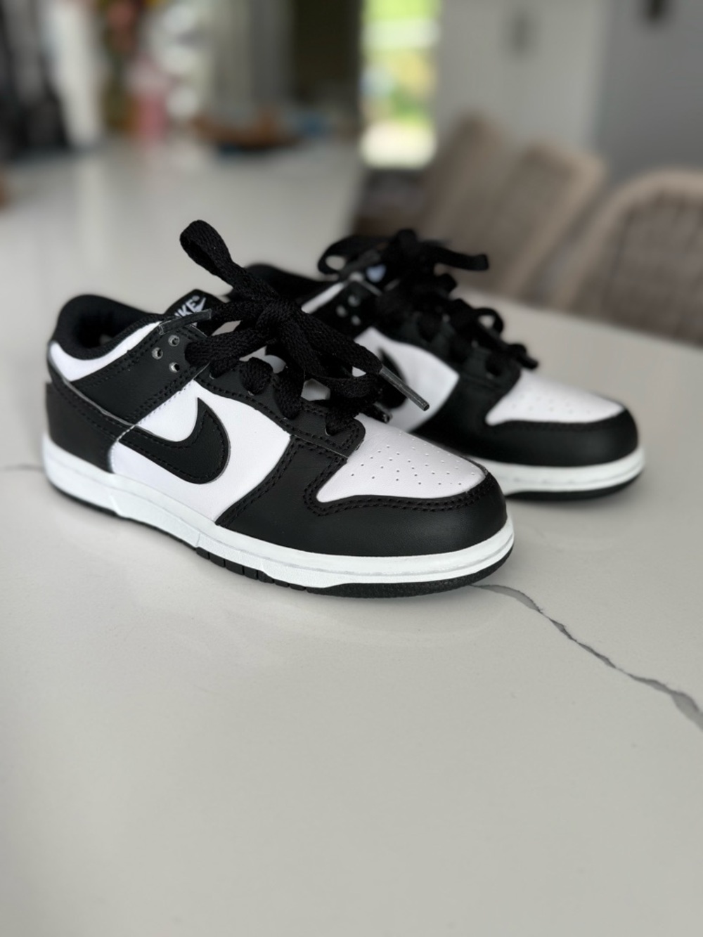Nike Kids' Preschool Dunk Low Shoes